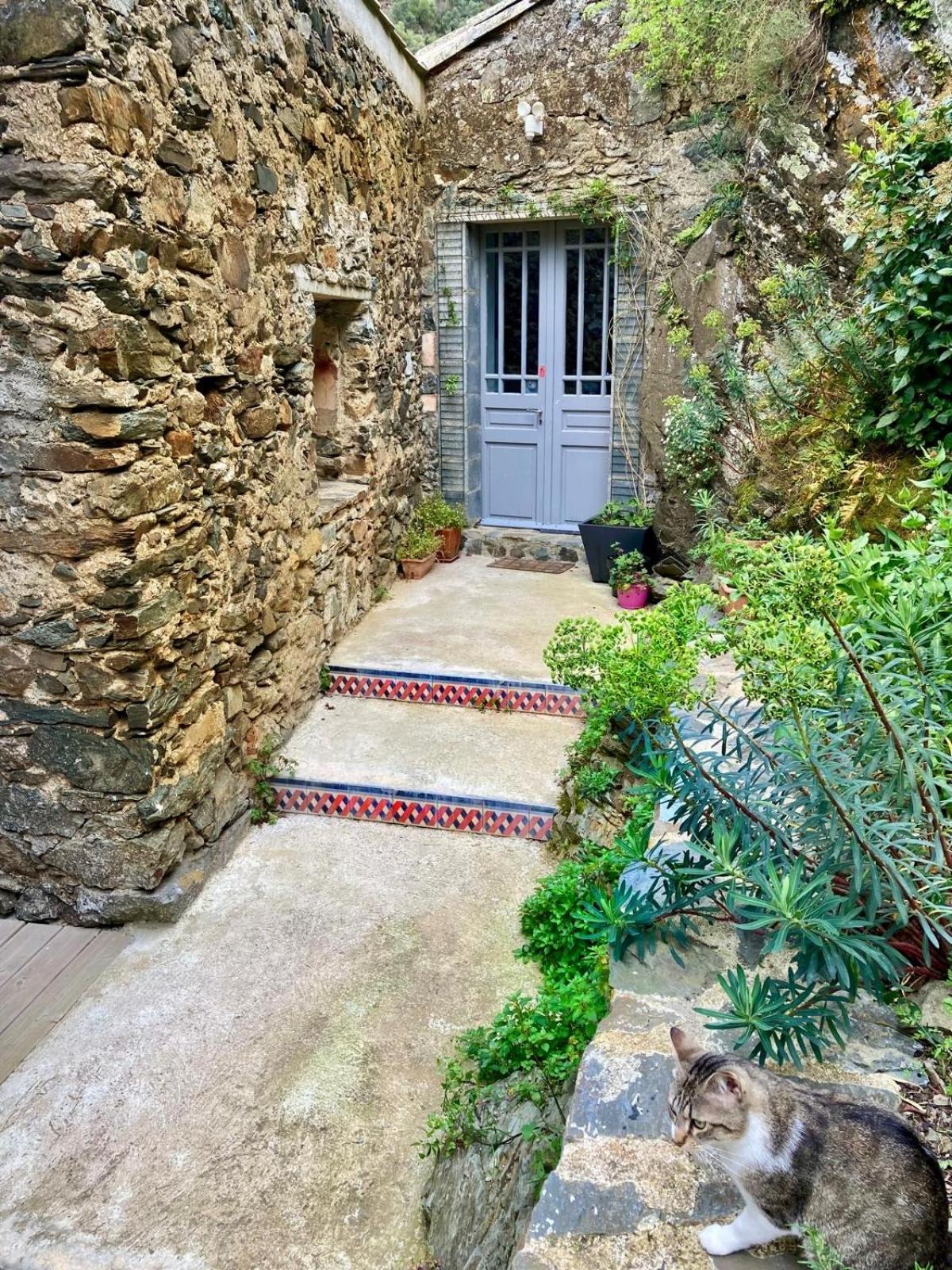 4 Star Cabaret Lastours 4 Chateaux Amazing Cathar Landmark Private Luxury 4 Star Air Conditioned Terrasse With Views Exterior foto